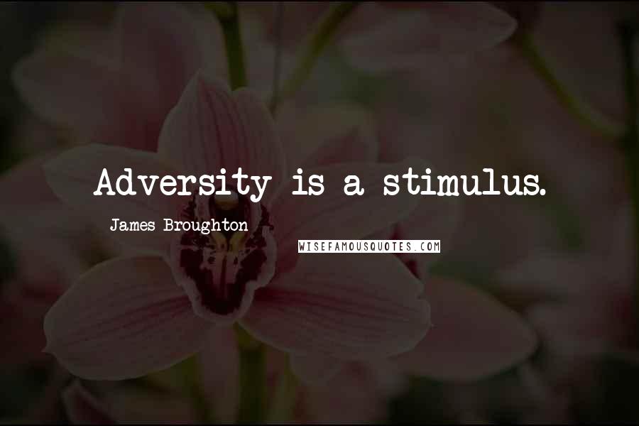 James Broughton Quotes: Adversity is a stimulus.