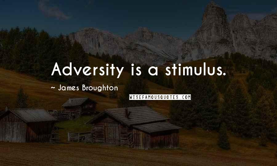 James Broughton Quotes: Adversity is a stimulus.