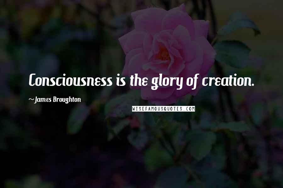 James Broughton Quotes: Consciousness is the glory of creation.