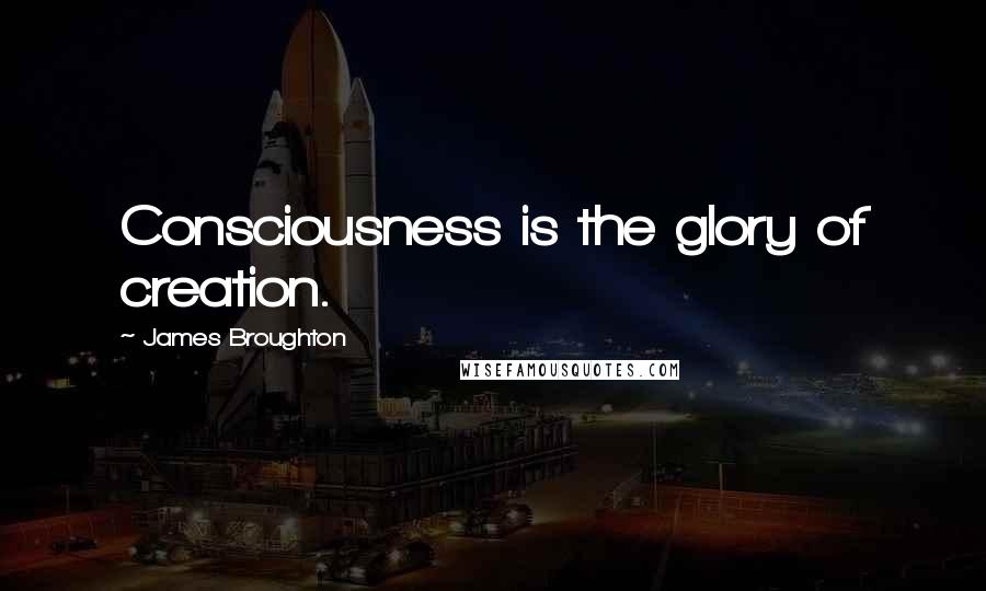 James Broughton Quotes: Consciousness is the glory of creation.