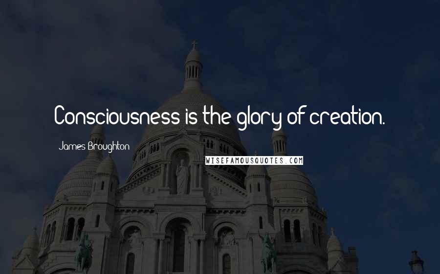 James Broughton Quotes: Consciousness is the glory of creation.