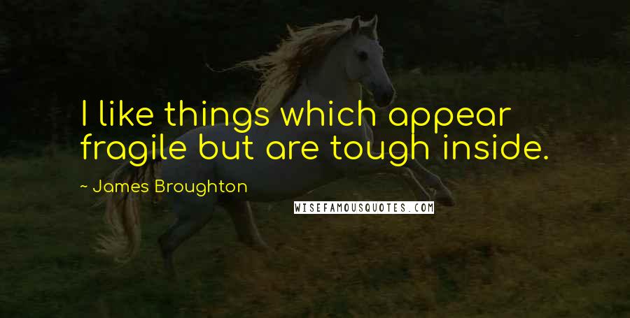 James Broughton Quotes: I like things which appear fragile but are tough inside.