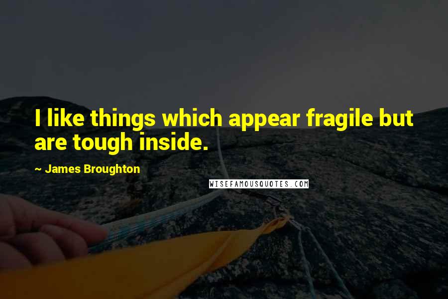 James Broughton Quotes: I like things which appear fragile but are tough inside.