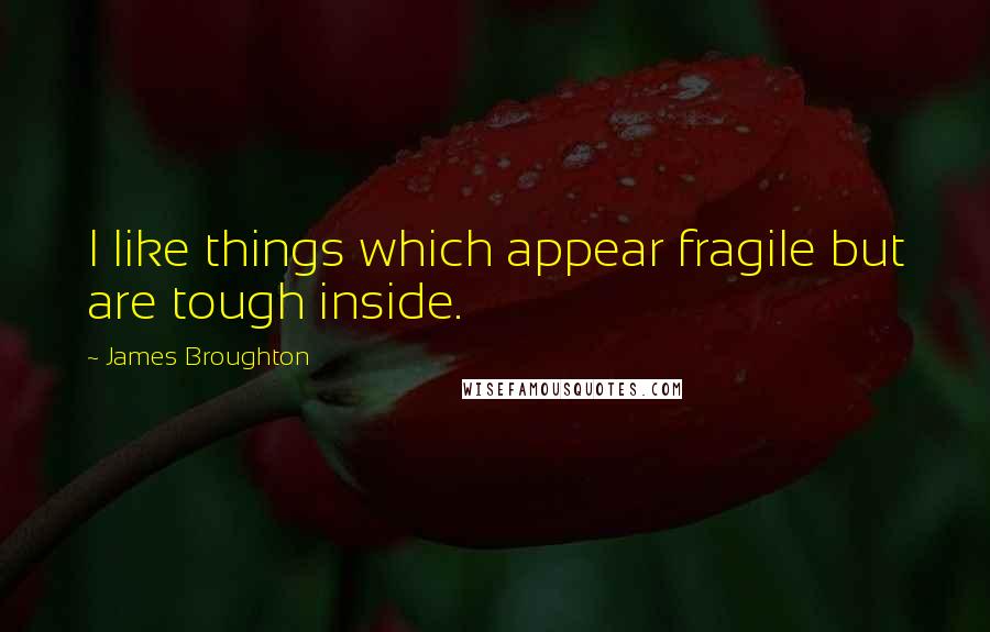 James Broughton Quotes: I like things which appear fragile but are tough inside.