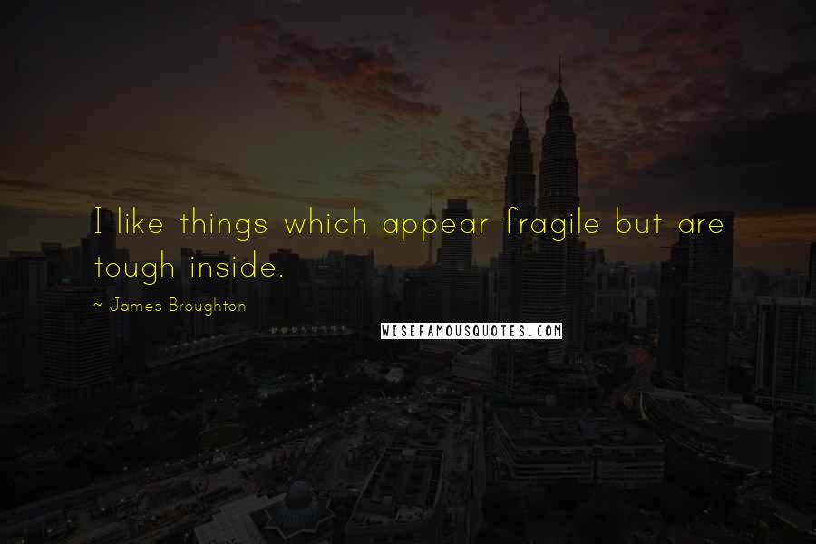 James Broughton Quotes: I like things which appear fragile but are tough inside.