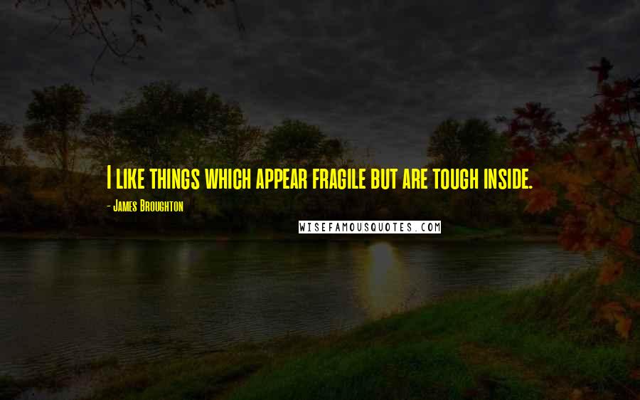 James Broughton Quotes: I like things which appear fragile but are tough inside.