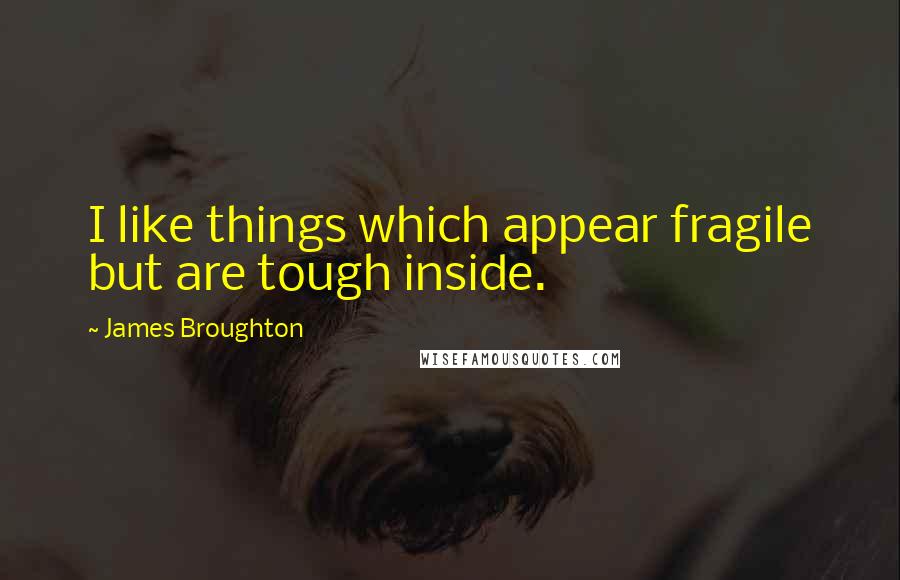 James Broughton Quotes: I like things which appear fragile but are tough inside.