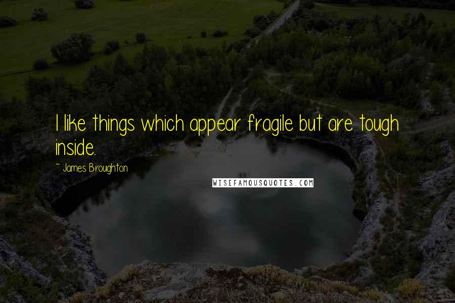 James Broughton Quotes: I like things which appear fragile but are tough inside.