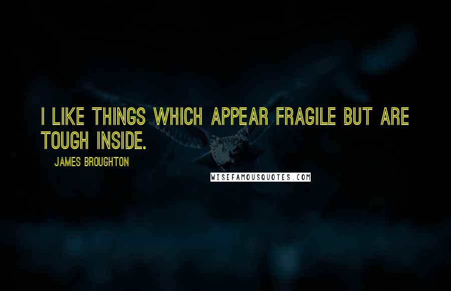 James Broughton Quotes: I like things which appear fragile but are tough inside.