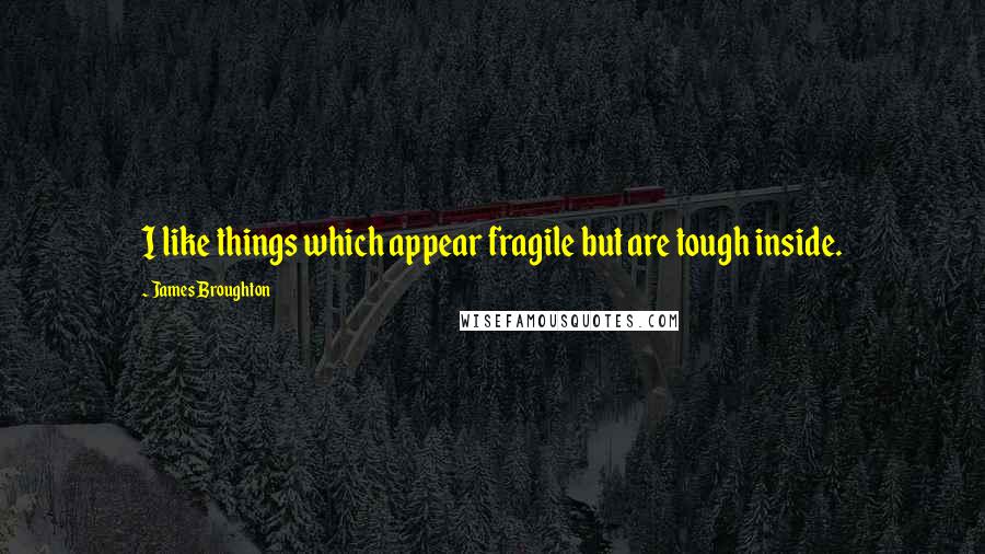 James Broughton Quotes: I like things which appear fragile but are tough inside.