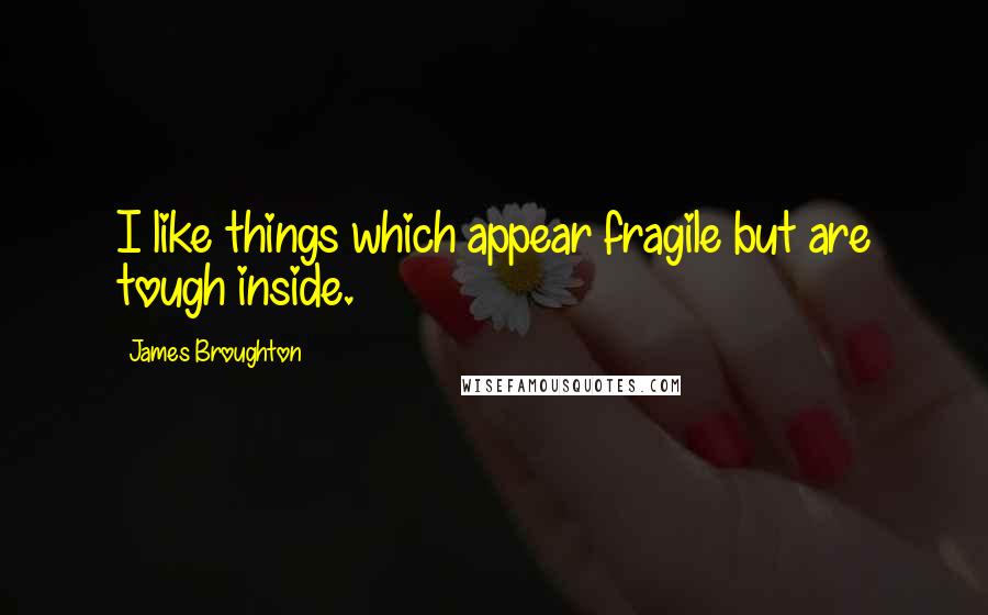 James Broughton Quotes: I like things which appear fragile but are tough inside.