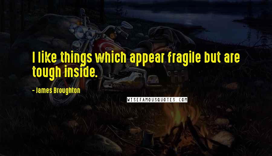 James Broughton Quotes: I like things which appear fragile but are tough inside.