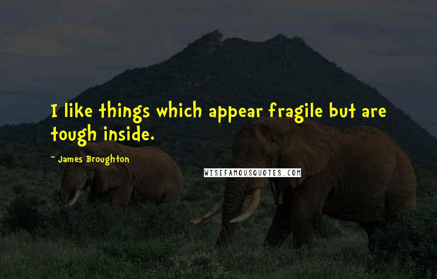 James Broughton Quotes: I like things which appear fragile but are tough inside.