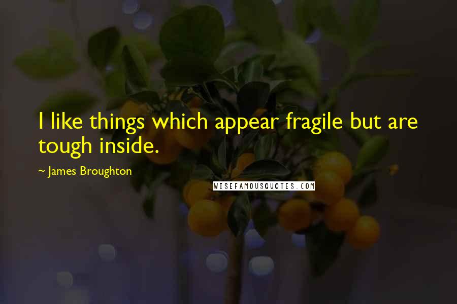 James Broughton Quotes: I like things which appear fragile but are tough inside.