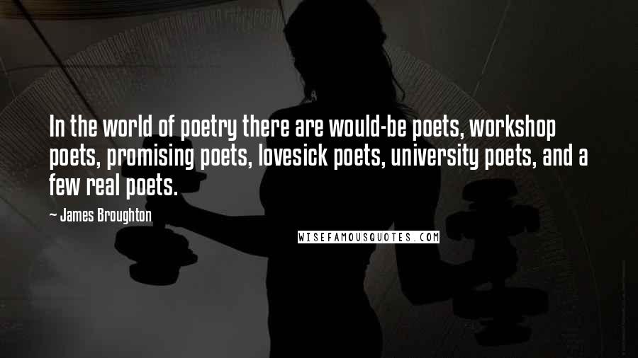 James Broughton Quotes: In the world of poetry there are would-be poets, workshop poets, promising poets, lovesick poets, university poets, and a few real poets.