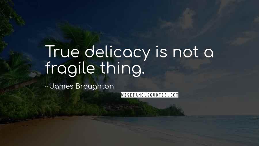 James Broughton Quotes: True delicacy is not a fragile thing.