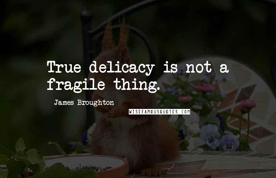 James Broughton Quotes: True delicacy is not a fragile thing.