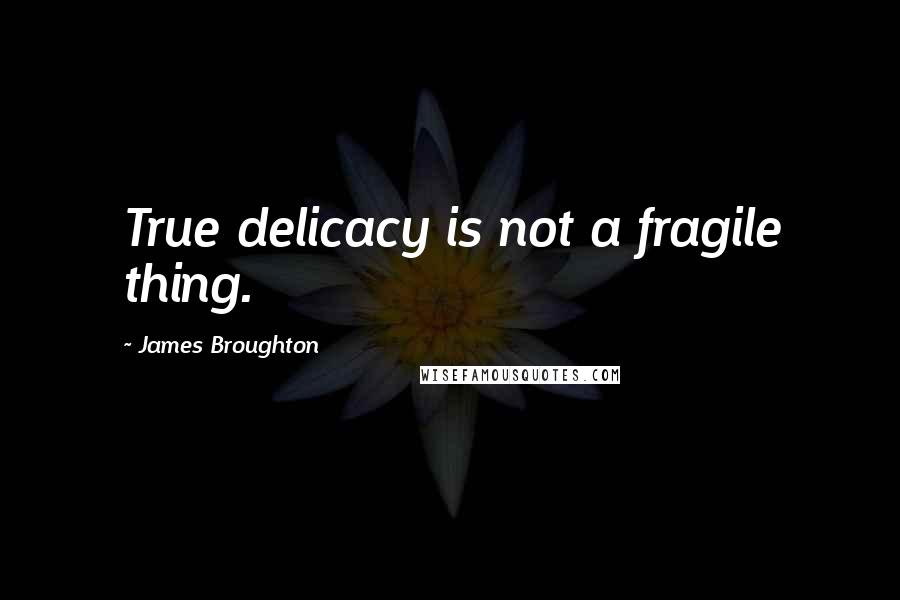 James Broughton Quotes: True delicacy is not a fragile thing.