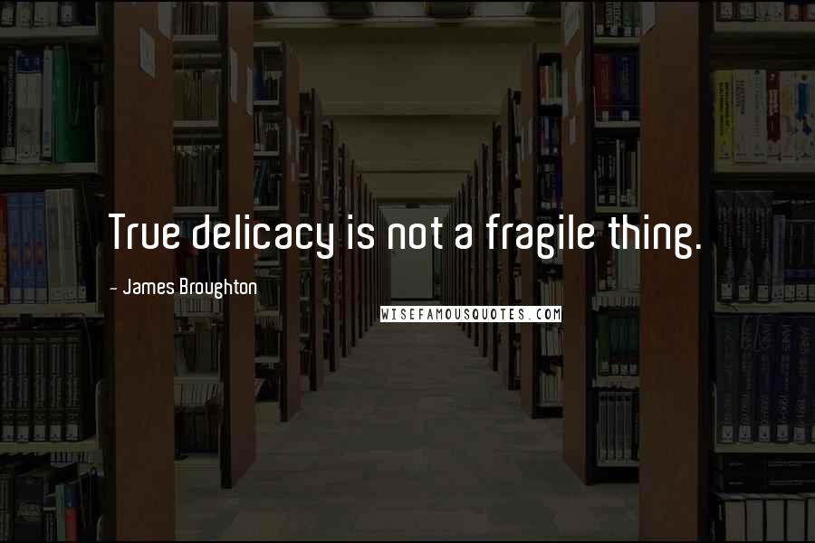 James Broughton Quotes: True delicacy is not a fragile thing.