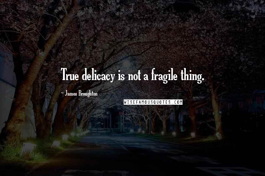 James Broughton Quotes: True delicacy is not a fragile thing.