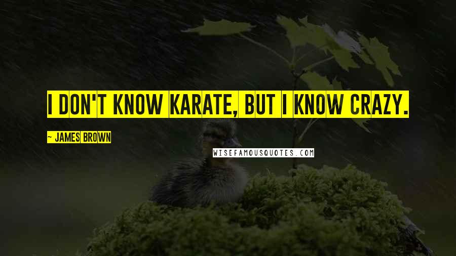 James Brown Quotes: I don't know karate, but I know crazy.