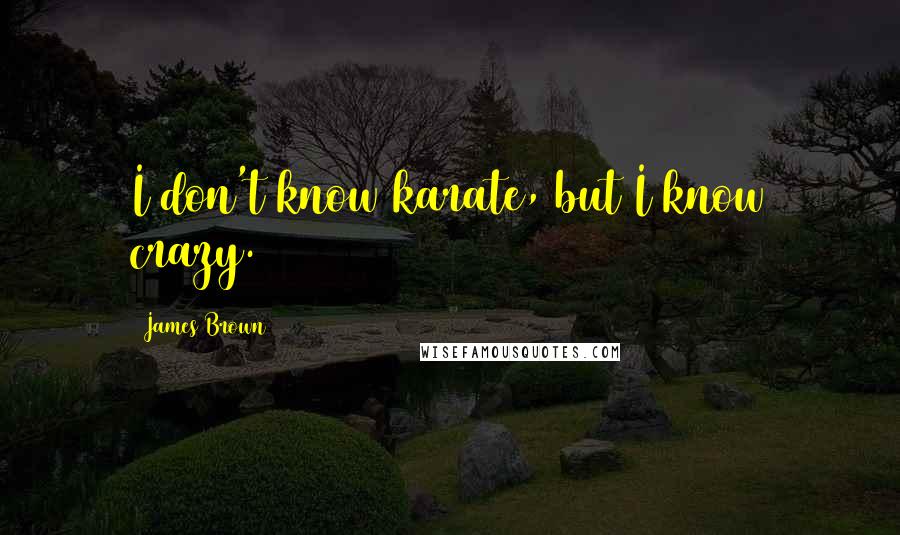 James Brown Quotes: I don't know karate, but I know crazy.