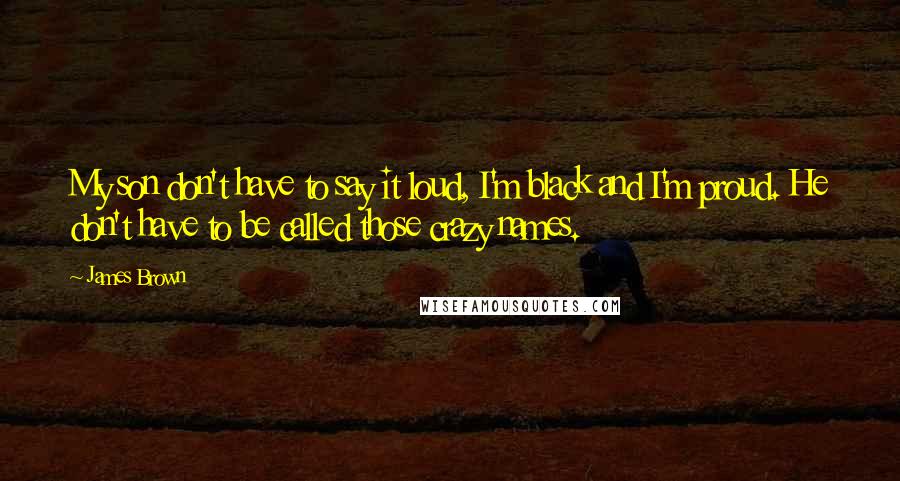 James Brown Quotes: My son don't have to say it loud, I'm black and I'm proud. He don't have to be called those crazy names.