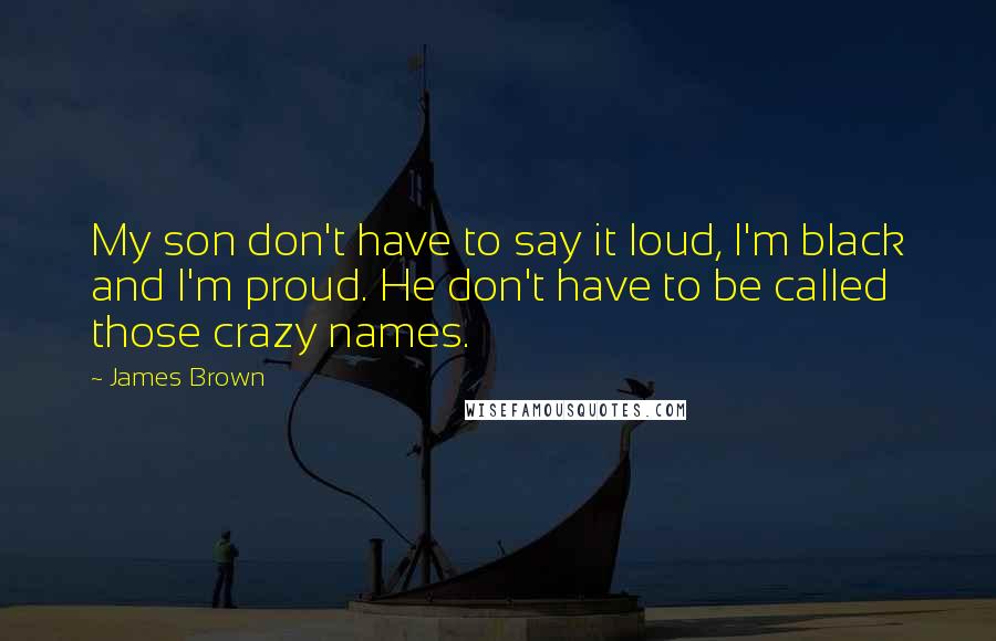 James Brown Quotes: My son don't have to say it loud, I'm black and I'm proud. He don't have to be called those crazy names.