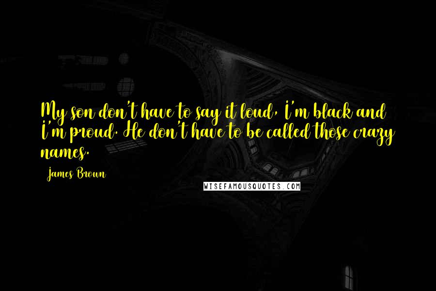 James Brown Quotes: My son don't have to say it loud, I'm black and I'm proud. He don't have to be called those crazy names.