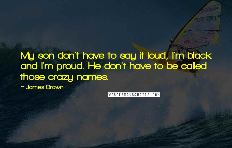 James Brown Quotes: My son don't have to say it loud, I'm black and I'm proud. He don't have to be called those crazy names.