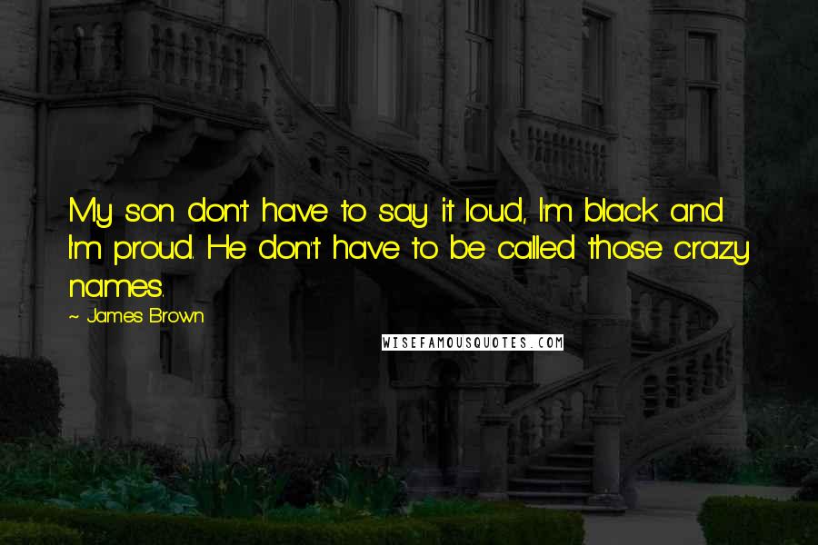 James Brown Quotes: My son don't have to say it loud, I'm black and I'm proud. He don't have to be called those crazy names.