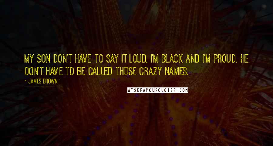 James Brown Quotes: My son don't have to say it loud, I'm black and I'm proud. He don't have to be called those crazy names.