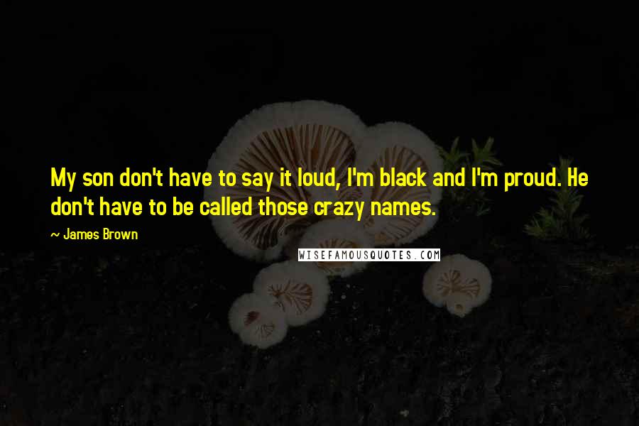 James Brown Quotes: My son don't have to say it loud, I'm black and I'm proud. He don't have to be called those crazy names.