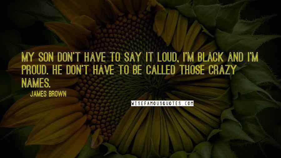 James Brown Quotes: My son don't have to say it loud, I'm black and I'm proud. He don't have to be called those crazy names.