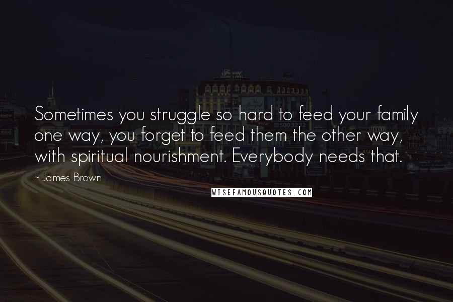 James Brown Quotes: Sometimes you struggle so hard to feed your family one way, you forget to feed them the other way, with spiritual nourishment. Everybody needs that.