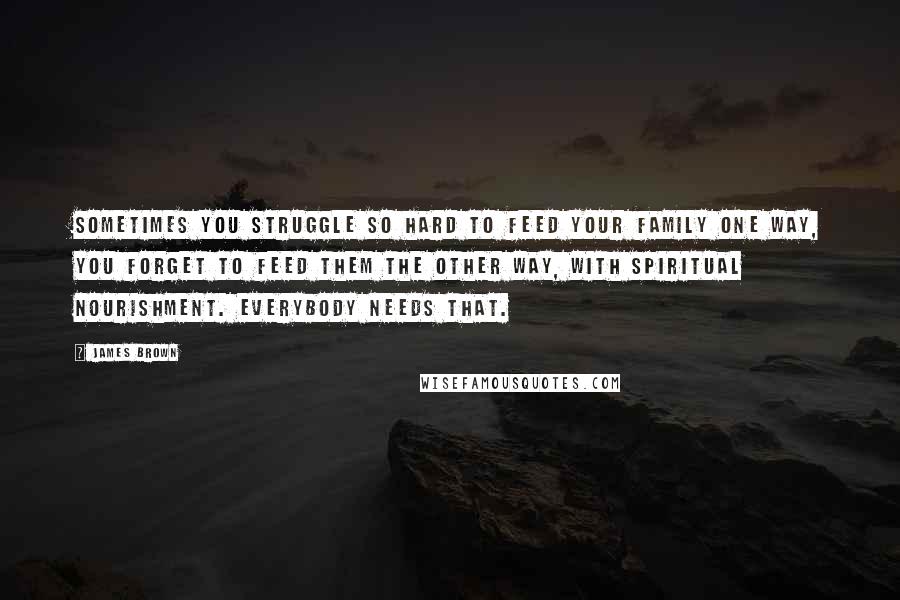 James Brown Quotes: Sometimes you struggle so hard to feed your family one way, you forget to feed them the other way, with spiritual nourishment. Everybody needs that.