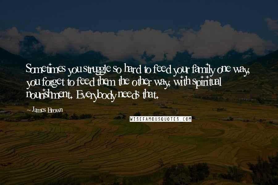James Brown Quotes: Sometimes you struggle so hard to feed your family one way, you forget to feed them the other way, with spiritual nourishment. Everybody needs that.