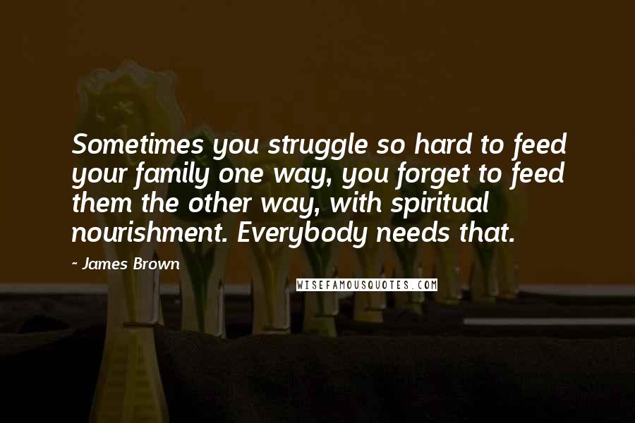 James Brown Quotes: Sometimes you struggle so hard to feed your family one way, you forget to feed them the other way, with spiritual nourishment. Everybody needs that.