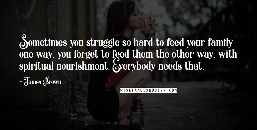 James Brown Quotes: Sometimes you struggle so hard to feed your family one way, you forget to feed them the other way, with spiritual nourishment. Everybody needs that.