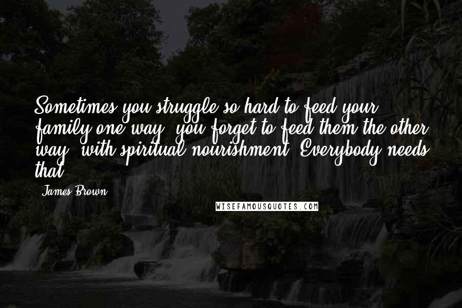 James Brown Quotes: Sometimes you struggle so hard to feed your family one way, you forget to feed them the other way, with spiritual nourishment. Everybody needs that.