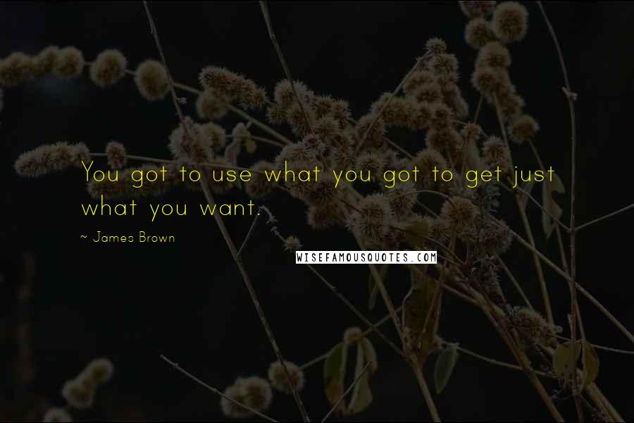 James Brown Quotes: You got to use what you got to get just what you want.