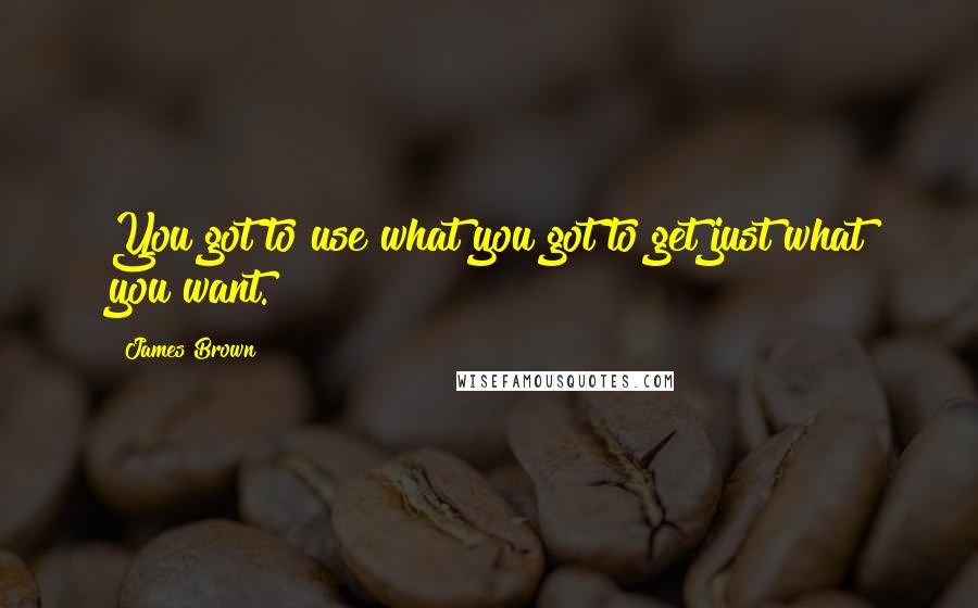 James Brown Quotes: You got to use what you got to get just what you want.