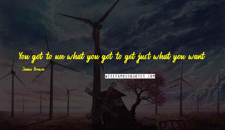 James Brown Quotes: You got to use what you got to get just what you want.