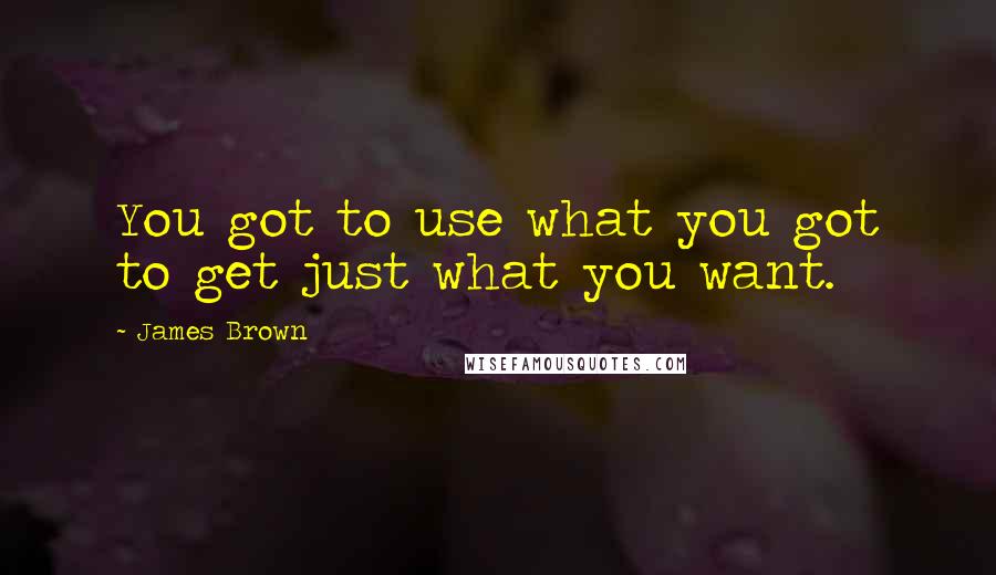 James Brown Quotes: You got to use what you got to get just what you want.