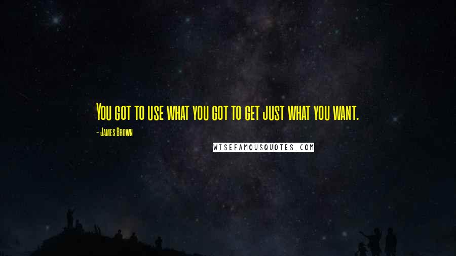 James Brown Quotes: You got to use what you got to get just what you want.