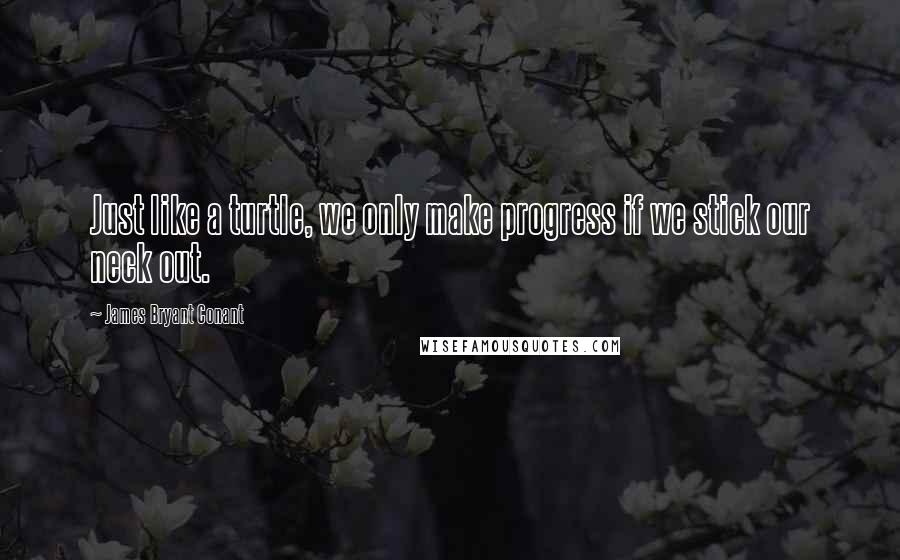 James Bryant Conant Quotes: Just like a turtle, we only make progress if we stick our neck out.