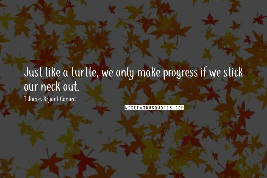 James Bryant Conant Quotes: Just like a turtle, we only make progress if we stick our neck out.