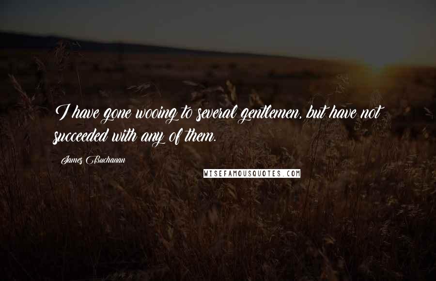 James Buchanan Quotes: I have gone wooing to several gentlemen, but have not succeeded with any of them.