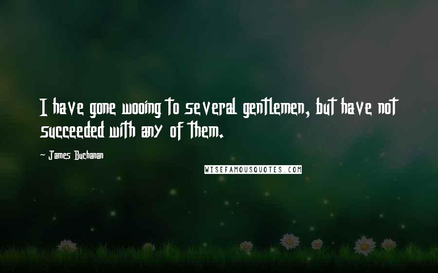 James Buchanan Quotes: I have gone wooing to several gentlemen, but have not succeeded with any of them.