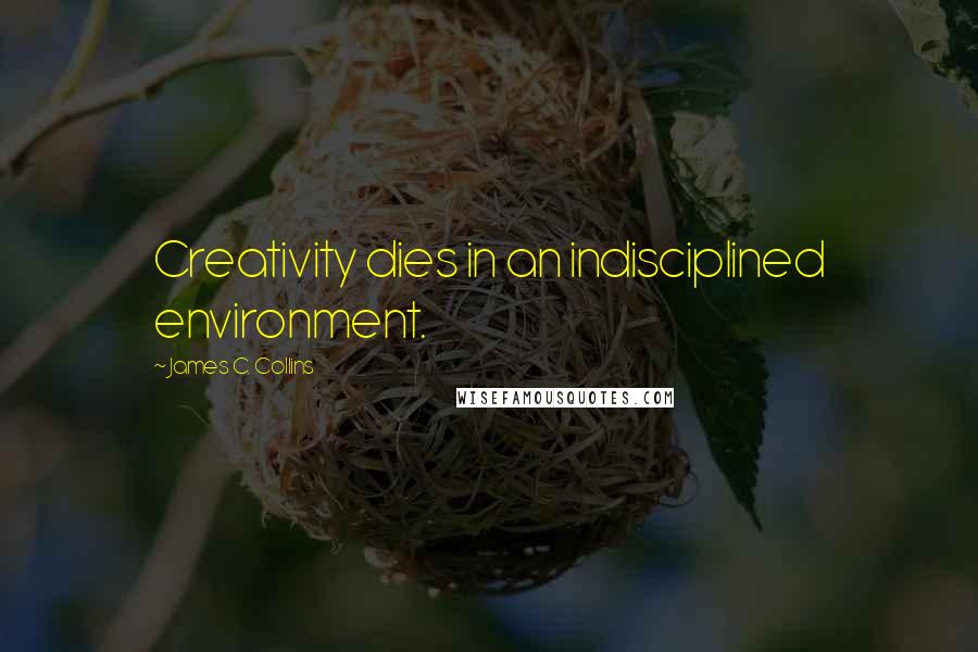 James C. Collins Quotes: Creativity dies in an indisciplined environment.